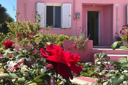 Pink House Villa Pesádha Exteriör bild